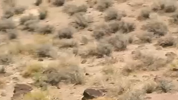 Leonidas ya fue probado con éxito por el Pentágono en una presentación en la que logró destruir decenas de drones