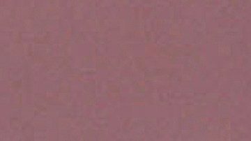 Medios aseguran que se trata de una conversación que se traduce en la perpetuidad del poder.