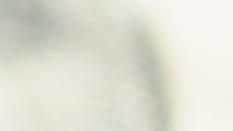 ¿En qué estados se verán beneficiados con los cheques de estímulo por inflación en Estados Unidos?
