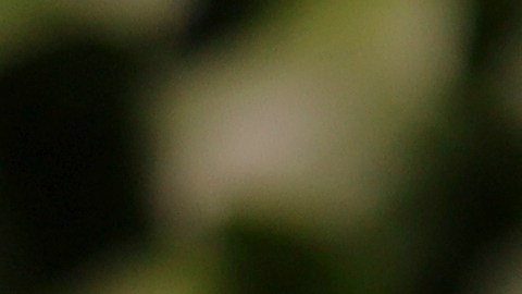 ¿Cuánto subirá el sueldo mínimo en Florida a partir de septiembre 30?