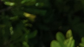 Zoraida es desterrada de "La Isla: Desafío Extremo 2".