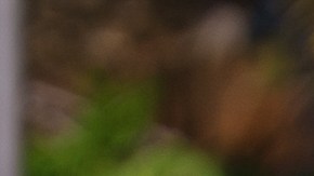 Elizabeth Gutiérrez quedó lesionada desde la primera prueba.