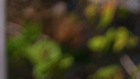 Elizabeth Gutiérrez quedó lesionada desde la primera prueba.