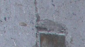 Eleazar Gómez está dando mucho de qué hablar en La Granja VIP.