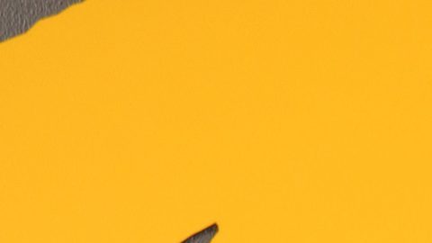 Fabiola Guajardo revela cómo fue trabajar junto a William Levy.