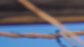 Las Panteras se mantienen en playa alta.