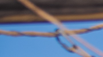 Las Panteras se mantienen en playa alta.