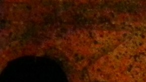 24th-ST_Dia-de-los-Muertos_3NC