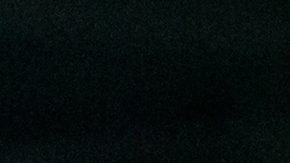 A Los Angeles FC solo le quedan un partido de la fase regular.