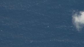 Datos del sitio web de seguimiento Flightradar24 afirman detectar un B-1B estadounidense volando hacia la costa venezolana.