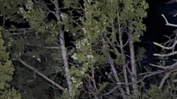 Un portavoz del DPS confirmó que la adolescente enfrentará cargos por conducir bajo los efectos del alcohol