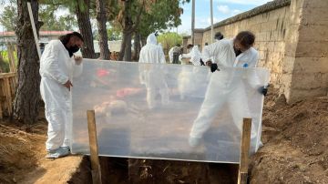 Investigadores preparan el lugar donde van a ser exhumados varios animales para su investigación.