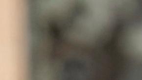 El papa León XIV, durante una audiencia general en la Plaza de San Pedro.