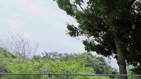 Maniobras militares en Venezuela ante posible ataque de EEUU