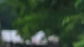 Reportan 41 muertos y graves daños por lluvias en México