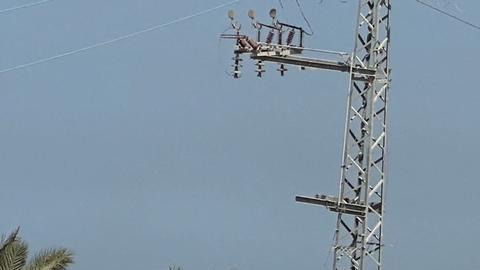 OMS: el hambre en Gaza no disminuyó desde la tregua