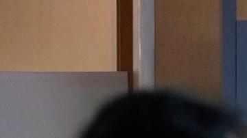 Esta fue la primera prueba de misiles balísticos norcoreanos desde la investidura del líder de Corea del Sur, Lee Jae-myung, a principios de junio pasado.