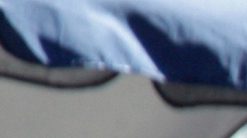 Los latinos en EE.UU. son la minoría con más crecimiento en población, son diversos y se han expandido a todo el país.