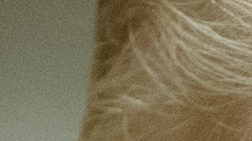 Trump llama a Petro "líder del narcotráfico" y anuncia fin de ayuda financiera a Colombia