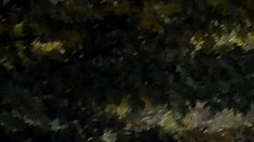 DACA tiene un amplio respaldo entre los estadounidenses.