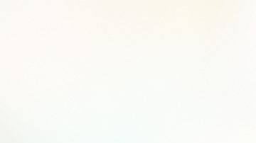 Diogo Jota falleció en un accidente automovilístico junto a su hermano.