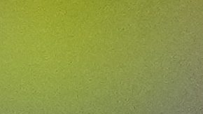 Hirving Lozano tiene siete partidos consecutivos siendo titular en Mundiales.