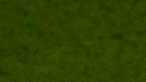 Volunteers hold a flag of the United States on the pitch before the start of the World Cup round of 16 soccer match between the Netherlands and the United States, at the Khalifa International Stadium in Doha, Qatar, Saturday, Dec. 3, 2022. (AP Photo/Luca Bruno)