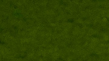 Volunteers hold a flag of the United States on the pitch before the start of the World Cup round of 16 soccer match between the Netherlands and the United States, at the Khalifa International Stadium in Doha, Qatar, Saturday, Dec. 3, 2022. (AP Photo/Luca Bruno)