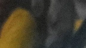 Almeyda no ha tenido un arranque regular con el Sevilla.