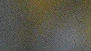 Almeyda llegó esta temporada al Sevilla.