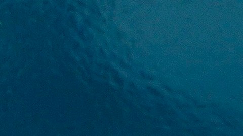 El objetivo es ampliar la venta de vehículos a través del comercio digital.