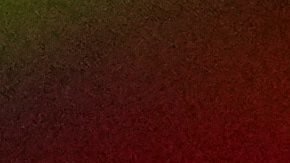 FILE - Red Bull driver Sergio Perez (11) waits for the Formula One Miami Grand Prix auto race to begin at the Miami International Autodrome, Sunday, May 7, 2023, in Miami Gardens, Fla. (AP Photo/Rebecca Blackwell, File)