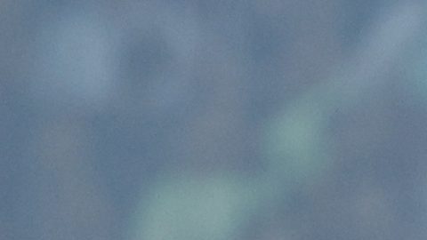 El campeón de España disputará en EStados Unidos un partido oficial.