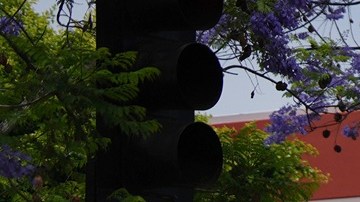 La Patrulla Fronteriza ha sido enviada a algunas ciudades, como Los Ángeles.