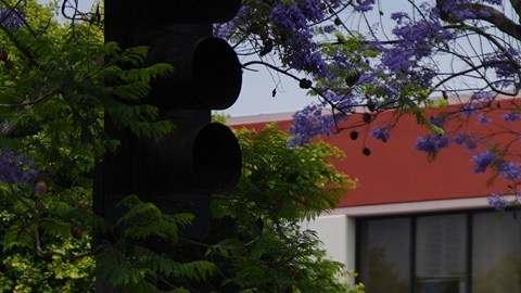 La Patrulla Fronteriza ha sido enviada a algunas ciudades, como Los Ángeles.