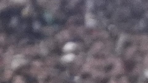 Gilberto Mora en un partido de la selección de México de mayores.