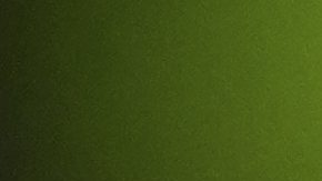 Frenkie de Jong during the line up prior to a World Cup qualifying soccer match between the Netherlands and Poland in Rotterdam, Netherlands, Thursday, Sept. 4, 2025. (AP Photo/Peter Dejong)