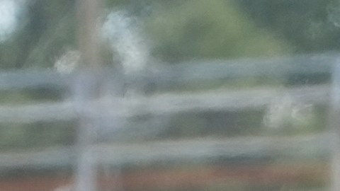 Los nuevos vehículos de ICE pueden simular ser una torre telefónica para conectarse directamente a tu teléfono