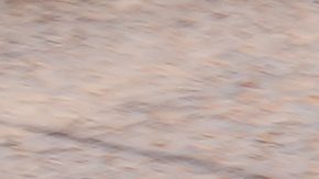 Isaac del Toro cerca de cruzar la meta en una carrera de esta temporada.