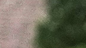 De ser declarada culpable, podría enfrentar una condena federal por generar un reporte falso