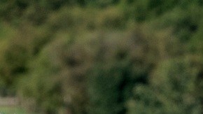 El presidente de la Cámara de Representantes, Mike Johnson, escucha mientras el líder de la mayoría en el Senado, John Thune, muestra el proyecto de ley de financiación provisional.