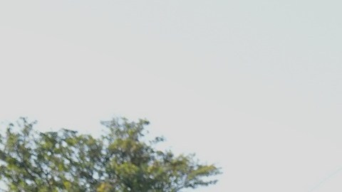 Agentes federales mantienen operativos migratorios en Chicago.