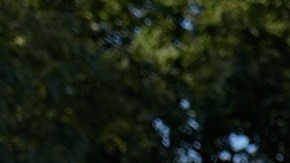 Agentes federales repliegan a manifestantes en Chicago.