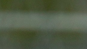 Los atributos de Libra son precisión, mantener al calma y la constancia.