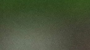 Diego Ochoa, líder en la defensa de México.