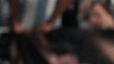 Argentina players celebrate after the side's first goal against Venezuela by midfielder Giovanni Lo Celso, second left, during the first half of an international friendly soccer match against Venezuela, Wednesday, Oct. 8, 2025, in Miami Gardens, Fla. (AP Photo/Rebecca Blackwell)