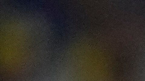 Blake Snell, pitcher abridor de los Dodgers, lanzó una verdadera joya en el inicio de la Serie de Campeonato en Milwaukee, incluyendo 10 bateadores ponchados.