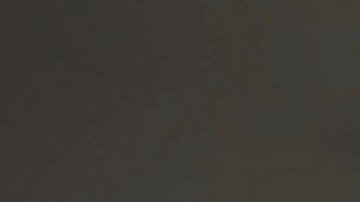 La tormenta arrancó árboles de raíz, volcó postes eléctricos y provocó el colapso parcial de techos.