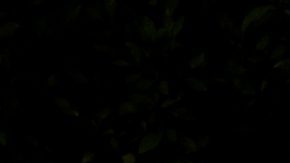 FILE - An image and logo memorializing former Los Angeles Angels pitcher Tyler Skaggs is displayed on the outfield wall in Anaheim, Calif., July 17, 2019. (AP Photo/Kyusung Gong, File)