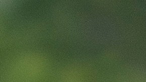 La decisión representa una importante victoria judicial para Trump,